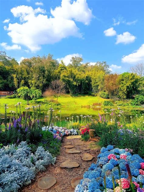 Guangzhou also has a Monet Garden｜The breath of spring is beautiful and ...