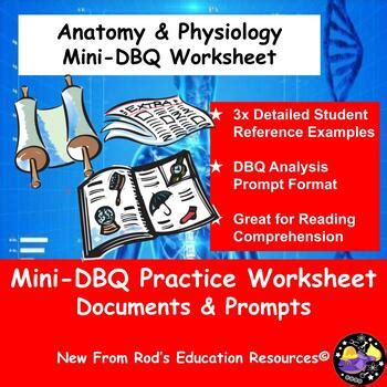 Muscular System Mini DBQ | Anatomy | Evidence-Based Reading | TPT