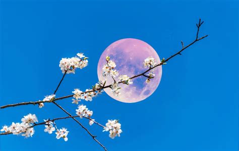 Why is May full moon called flower moon?