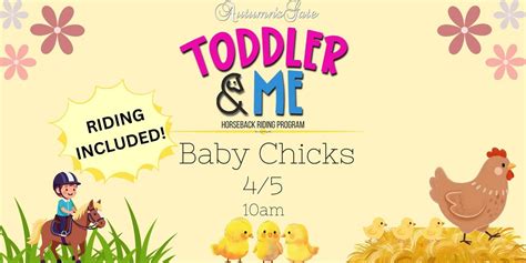 Toddler and Me Baby Chicks , 1956 Balmer Rd, Ransomville, NY, 5 April ...