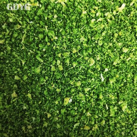 10kg 100% Mature IQF Frozen Broccoli Green Sprouting High Quality Fresh ...