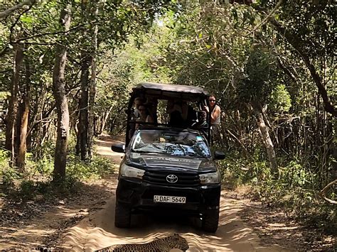 CEYLON SPIRIT TOURS (2025) All You Need to Know BEFORE You Go (with ...