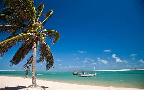 ILHA DO GUAJIRU KITE LAGOON Guide (2026) All You Need to Know BEFORE ...