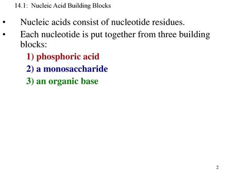 Chapter Outline 14.1 Nucleic Acid Building Blocks - ppt download