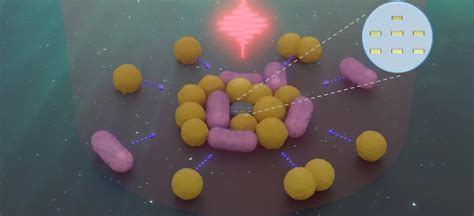 Scientists Just Created Tiny Robots That Can Hunt and Capture Bacteria