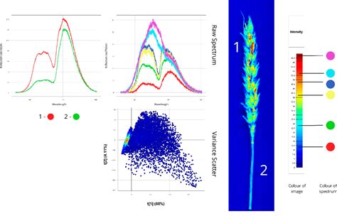 Figure 9 from VNIR Hyperspectral Signatures for Early Detection and ...