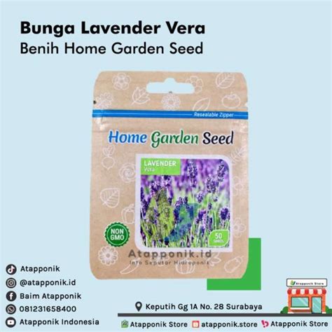 Jual Benih Bibit Bunga Lavender Vera Biji Di Seller Arrayanshop