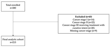Outpatient Embedded Palliative Care for Patients With Advanced Thoracic ...