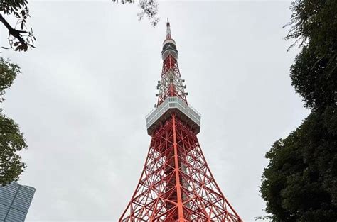 TOKYO & AIRPORT PRIVATE TRANSFER (2026) All You Need to Know BEFORE You ...