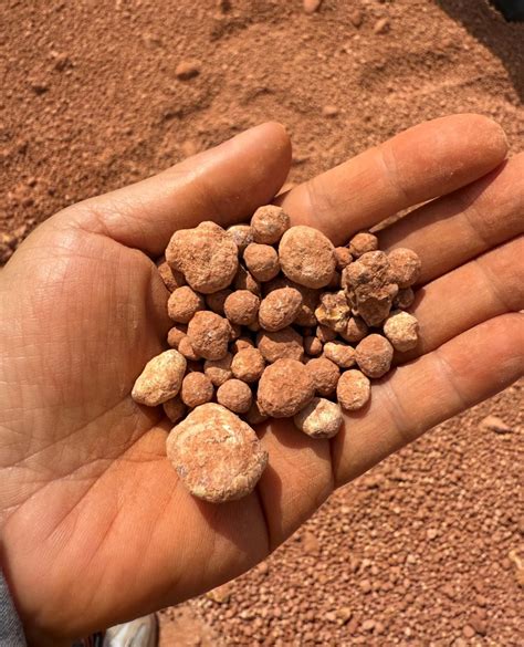 Bauxite traders in luck for 2026: DISR - Mining.com.au