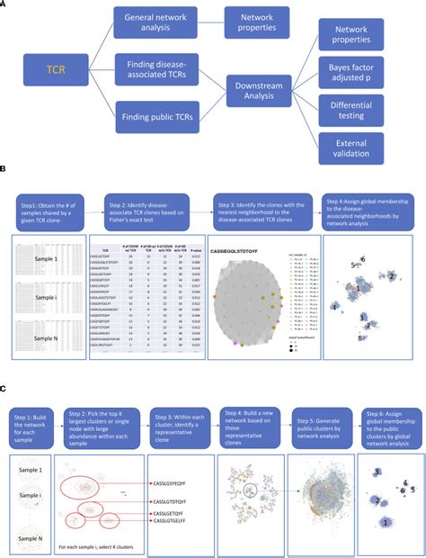 NAIR: Network Analysis of Immune Repertoire - PMC