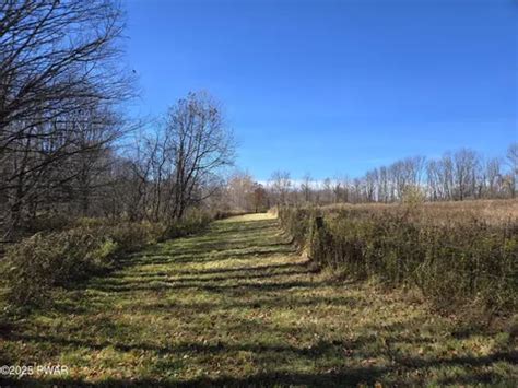 Hinds and Mican Rd, Waymart, PA 18472 | Realtor.com®