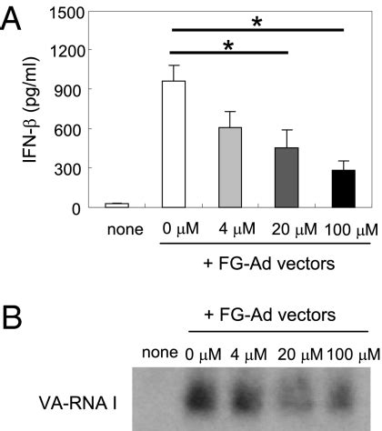Induction of type I interferon by adenovirus-encoded small RNAs - PMC
