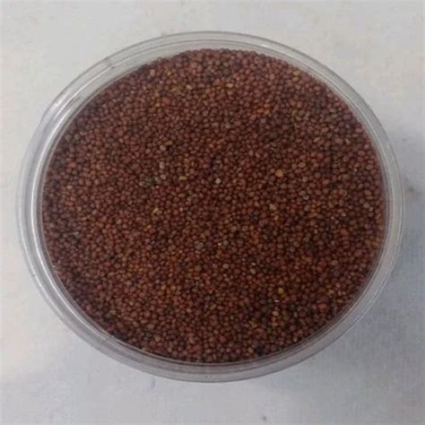 Mustard Rai Seeds, Small (Micro), Brown at ₹ 300/kg in New Delhi | ID ...