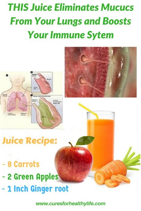 Phlegm And Mucus While Gross Can Be A Huge Part Of Keeping Your Body