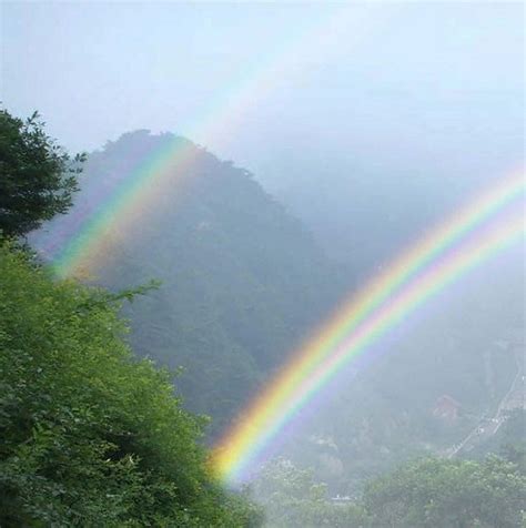 Computer Scientists Accidentally Discover How Rare Twinned Rainbows