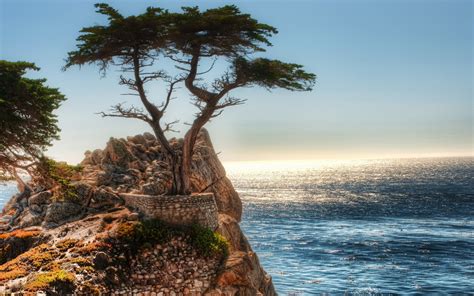 Ocean Landscapes Nature Coast Trees Cliffs Artwork Sea Wallpaper