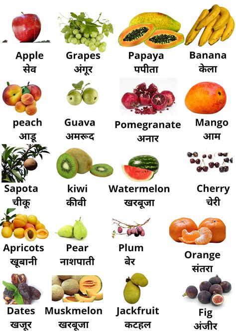 20 Fruits Name In Hindi And English फलों के नाम हिंदी और अंग्रेजी में
