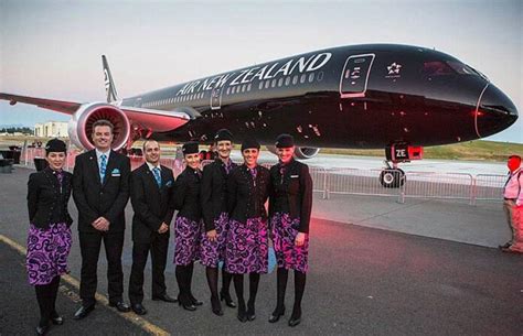 Air New Zealand Flight Attendant Salary And Benefits Cabin Crew Hq