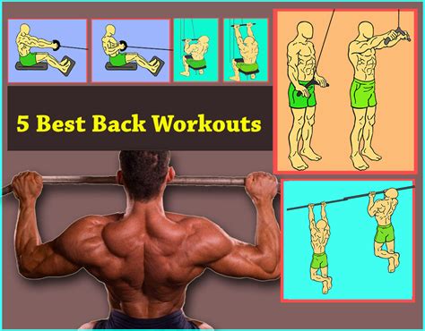 5 Best Back Workout Lats Fitness Workouts And Exercises