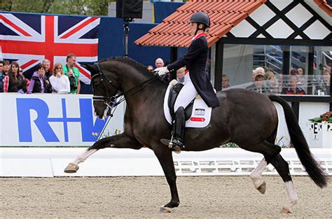Mount st john, specialising in breeding dressage horses of the highest standard and are currently breeding with around thirty quality dressage mares per season. Clinic för Carl Hester | Leideborg Equestrian AB