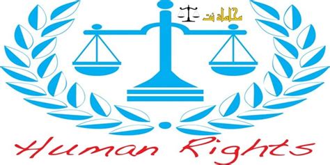 قراءة قانونية قضائية في مكاتب حقوق الإنسان 2024