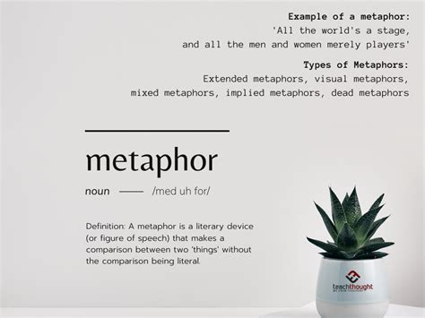 What Is A Metaphor Definition Examples And Types
