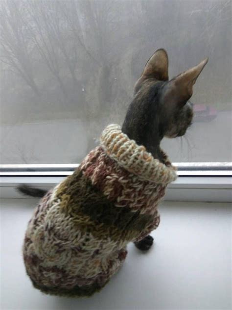 The sphynx is not the first instance of hairlessness in domestic cats. Cat dog clothes, warm cat sweater, clothes for sphynx ...