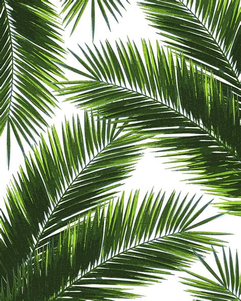 Add an industrial, modern touch to your walls with artwork from independent artists worldwide. Tropical Palm Leaf Pattern 1 - Tropical Wall Art - Summer ...