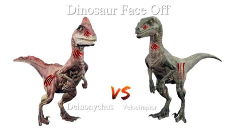 Dinosaur Face Off Deinonychus Vs Velociraptor Youtube