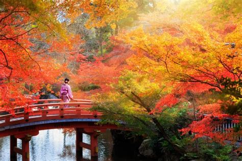 The 15 Breathtaking View Locations Of Autumn Leaves In Kyoto 2018