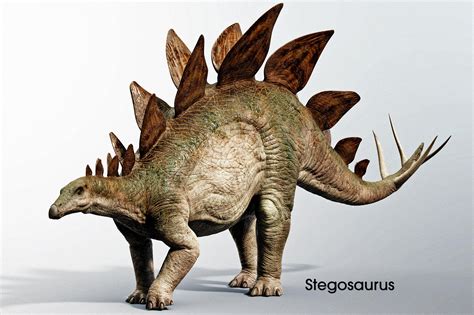 Oc Stegosaurus 3d Model Created In Blender 3dsubstance Painter R
