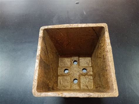 Drainage hole in flower pot – Biodegradable and Compostable Pots