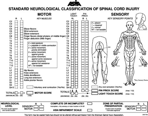 The Neurological Evaluation And Medical Management Of