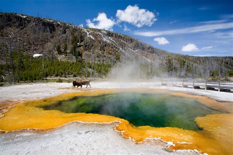 Must Visit Yellowstone National Park Once In Lifetime The Wow Style