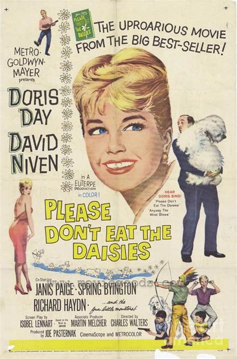 Doris Day Movie Posters