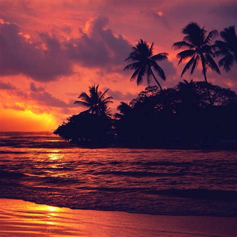 Sunset Sundown And Beach Lovers Image 6693902 On