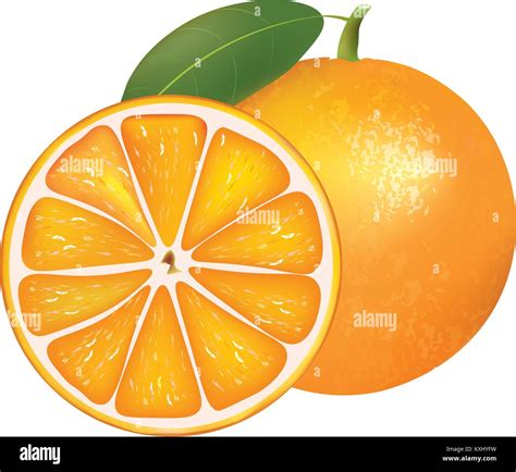 Whole Orange And Half Vector Stock Vector Image And Art Alamy