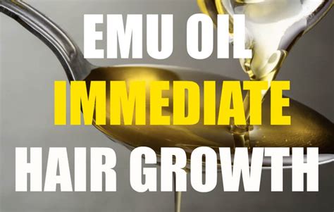 This is the only phase in which the hair follicle and the hair are actually considered living, and thus can be affected by any type of product. Emu Oil To Benefit Your Nautral Hair For Fast Growth