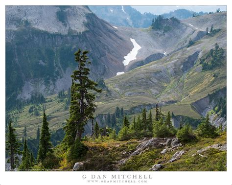 G Dan Mitchell Photograph Treeline — North Cascades Washington G