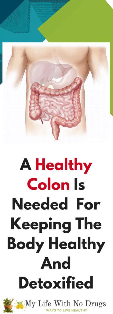 a healthy colon is needed for keeping the body healthy and detoxified my life with no drugs