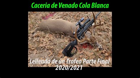 Caceria De Venado Cola Blanca Video Final De La Temporada 20202021