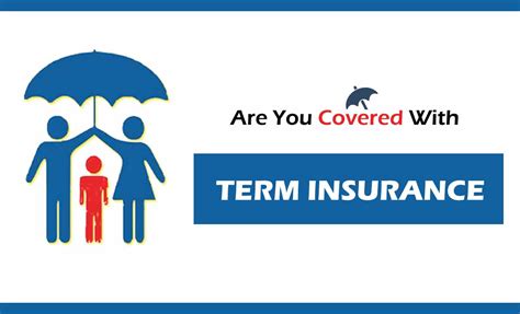 What Is Term Life Insurance Only Life Saver Hum Hain Hamesha