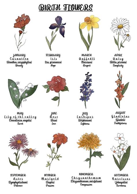 Birth Flower Poster 12 Monthshand Painted Watercolour Botanicals With