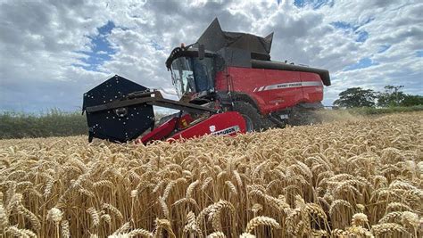 Harvest photography competition 2020: Winner and runners-up - Farmers ...