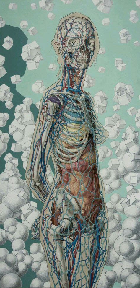 Human Anatomy Art Medical Art Anatomy Drawing Art