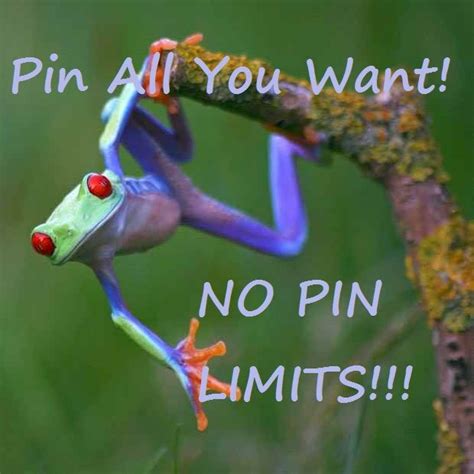 No Limits On Pins On My Personal Boards Group Boards Belonging To