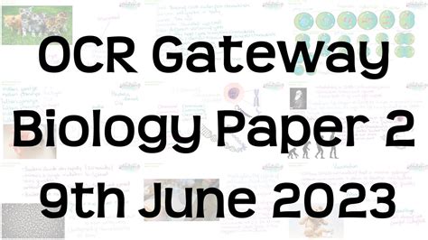 The Whole Of OCR Gateway GCSE Biology Paper Revision Th June YouTube