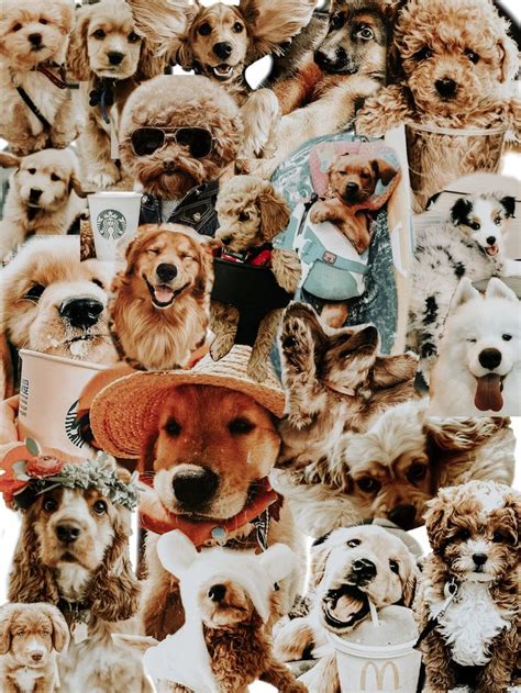 Dog Collage