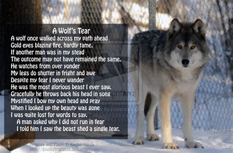 A Wolfs Tear Poem By 8twilightangel8 On Deviantart Poems Beautiful